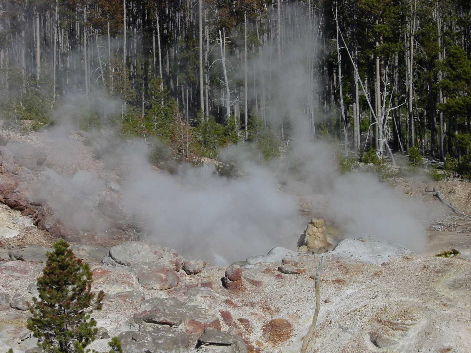 Norris Geyser Basin