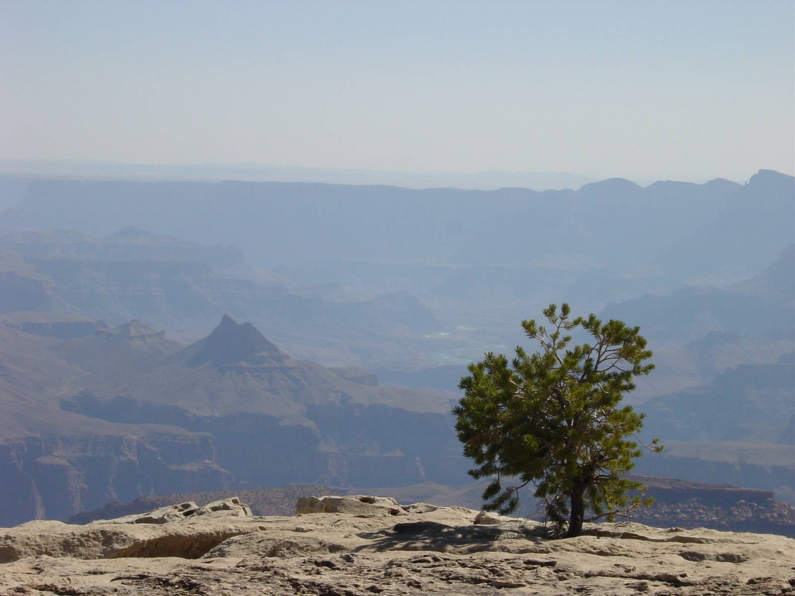 Grand Canyon - Grand View