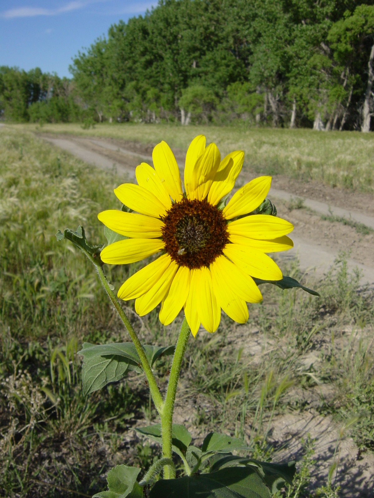 Glendo State Park