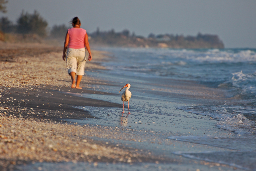Caspersen Beach, Venice