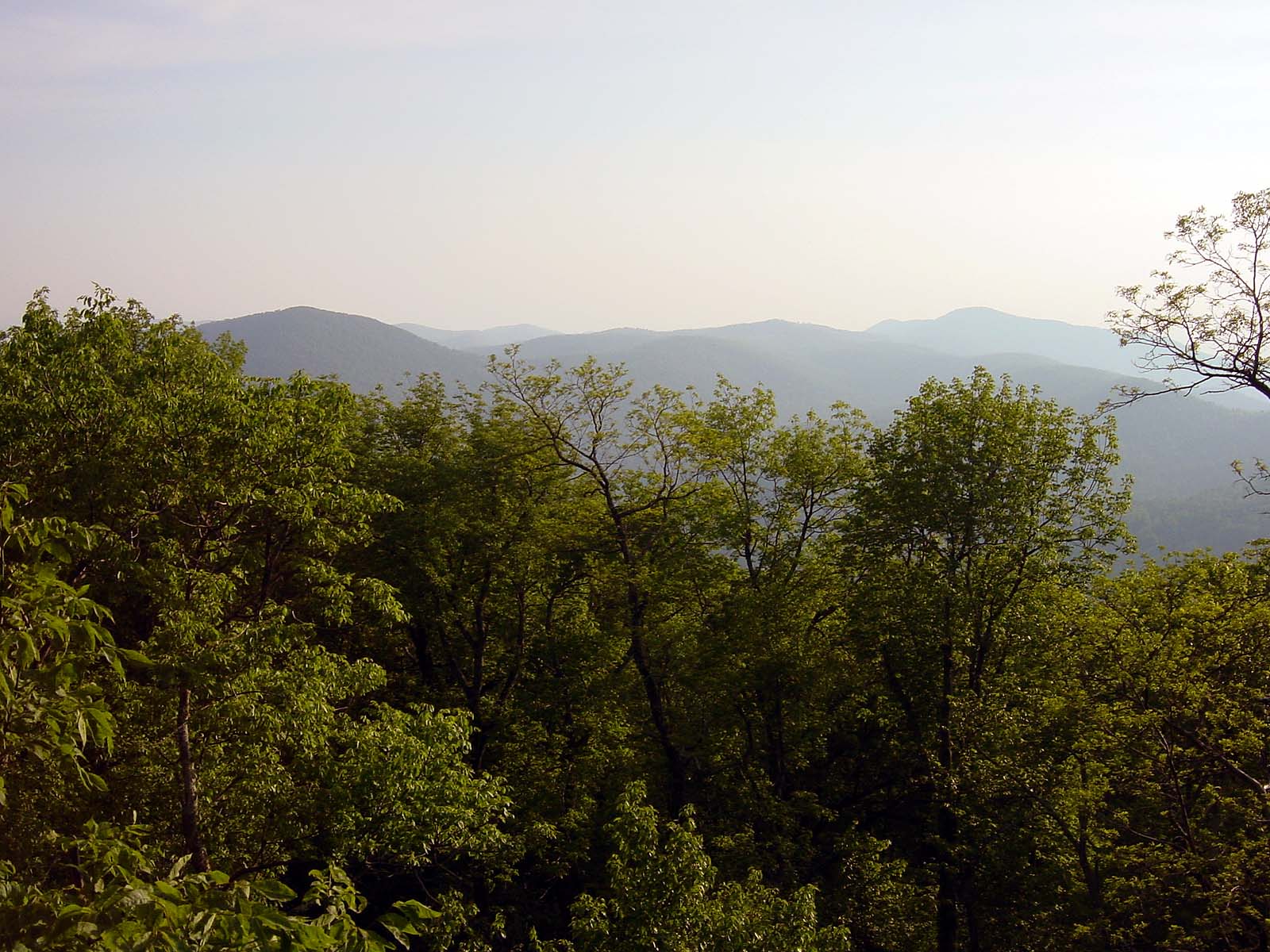 Shenandoah National Park