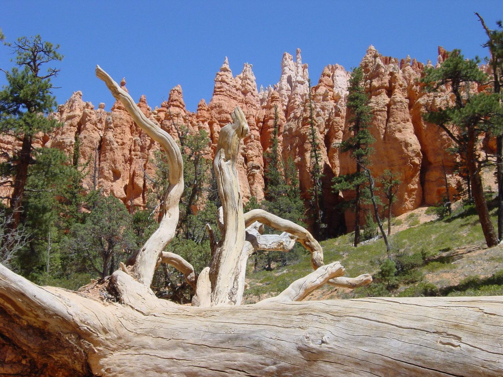 Bryce Canyon