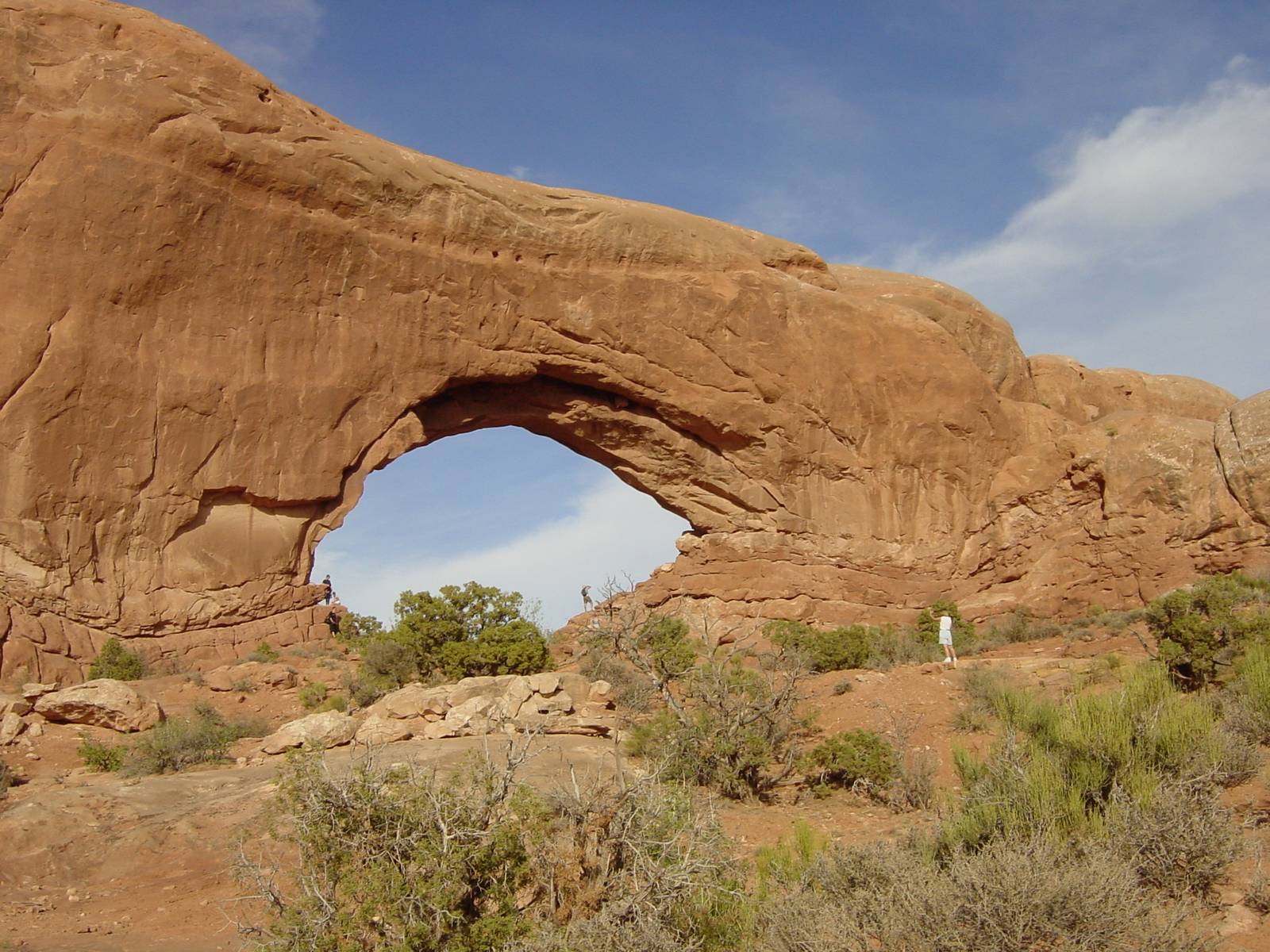 The Windows Section, Arches Nationalpark