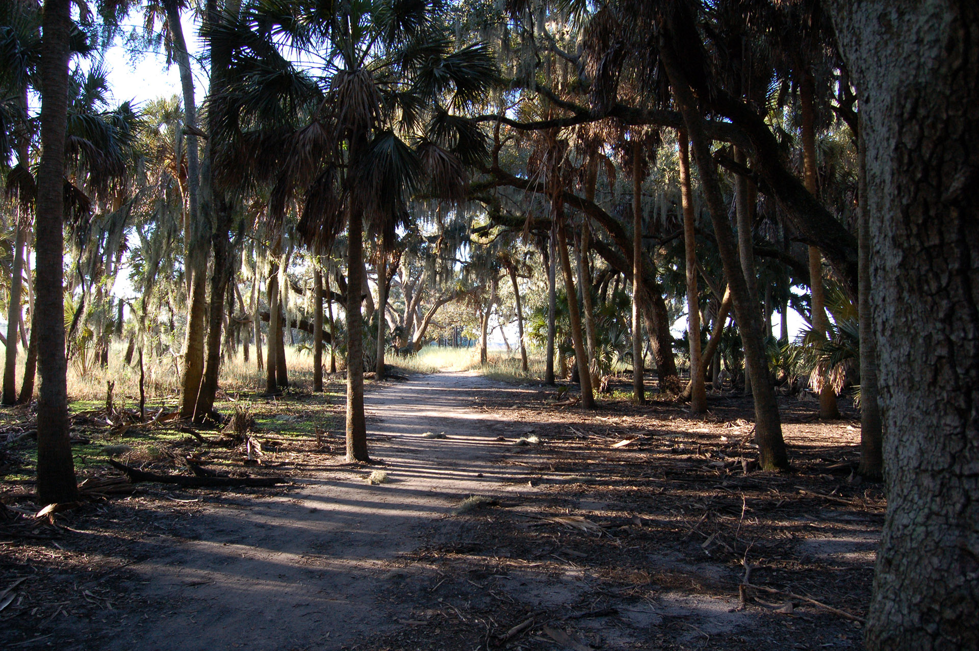 Myakka River State Park, Sarasota County