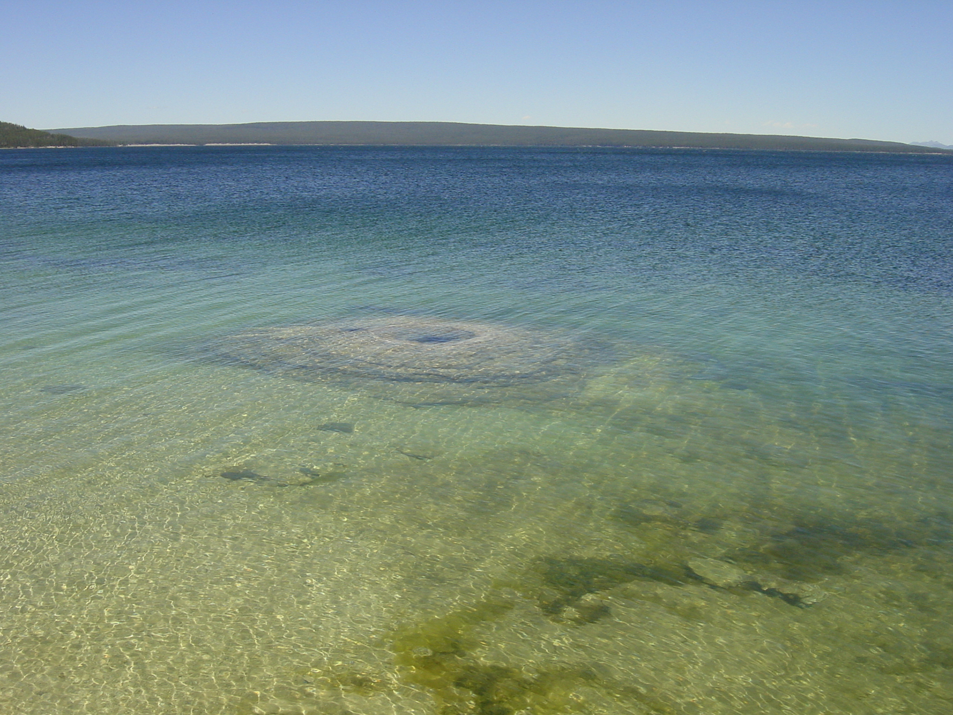 Geyser im Yellowstone Lake