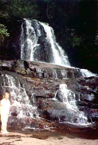 Laurel Falls, Cades Cave Velley