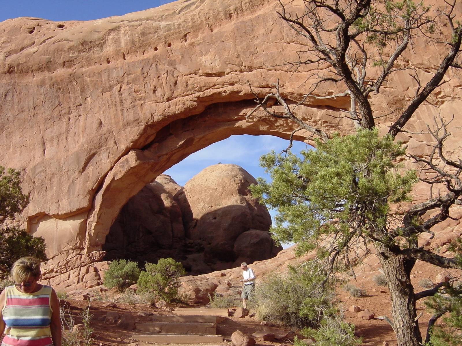 The Windows Section, Arches Nationalpark