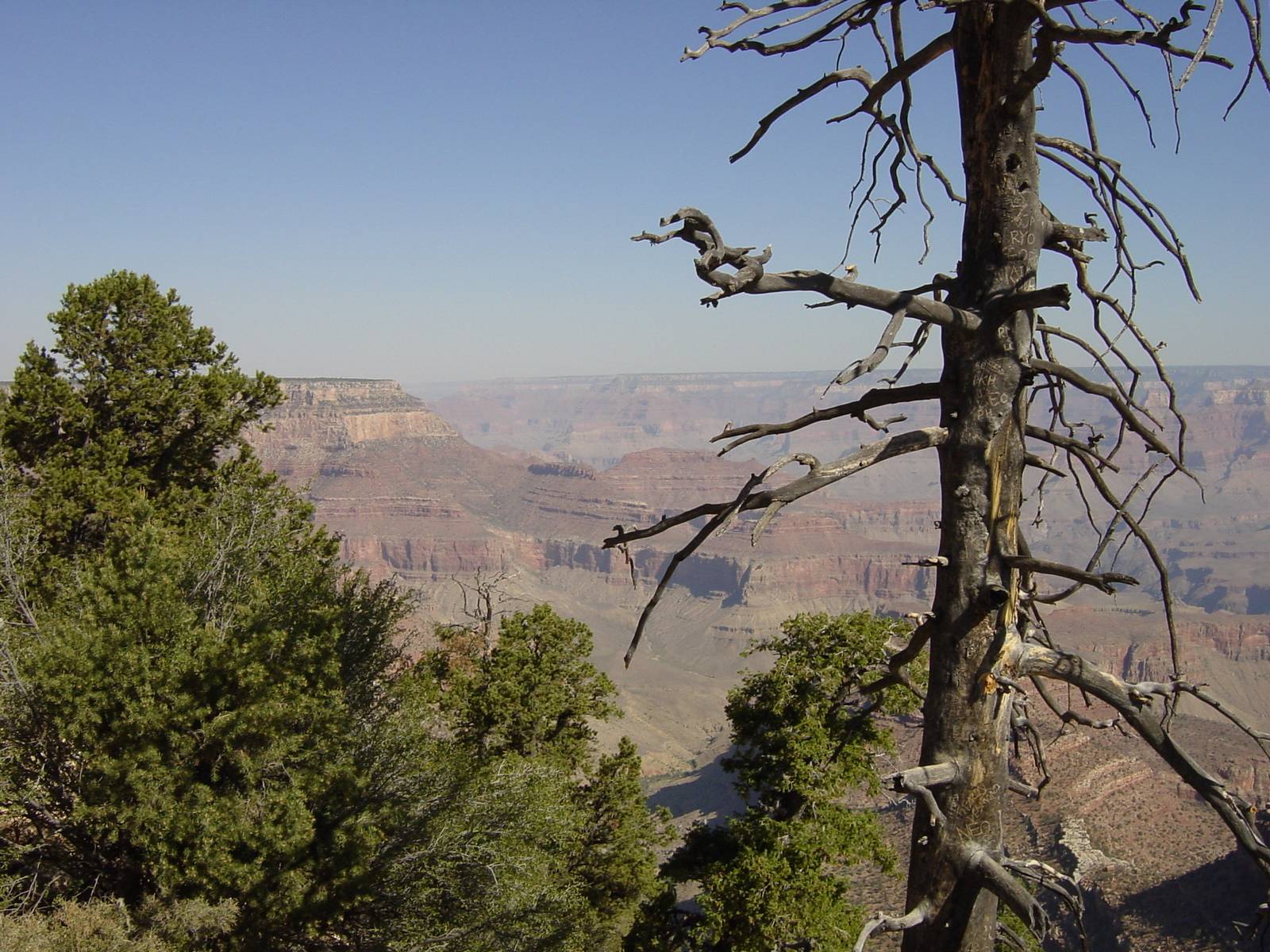 Grand Canyon - Grand View