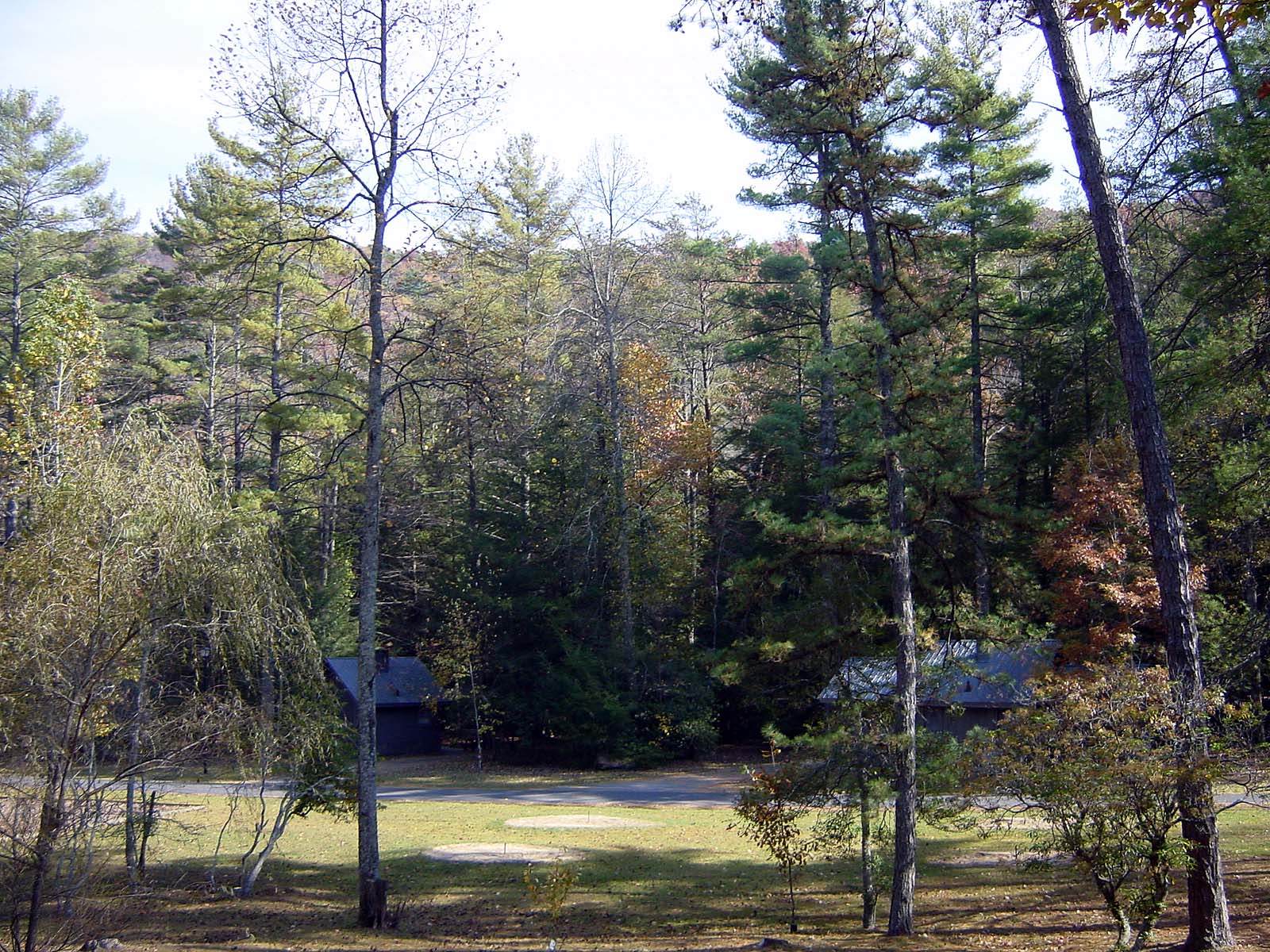 Cottages im Vogel State Park