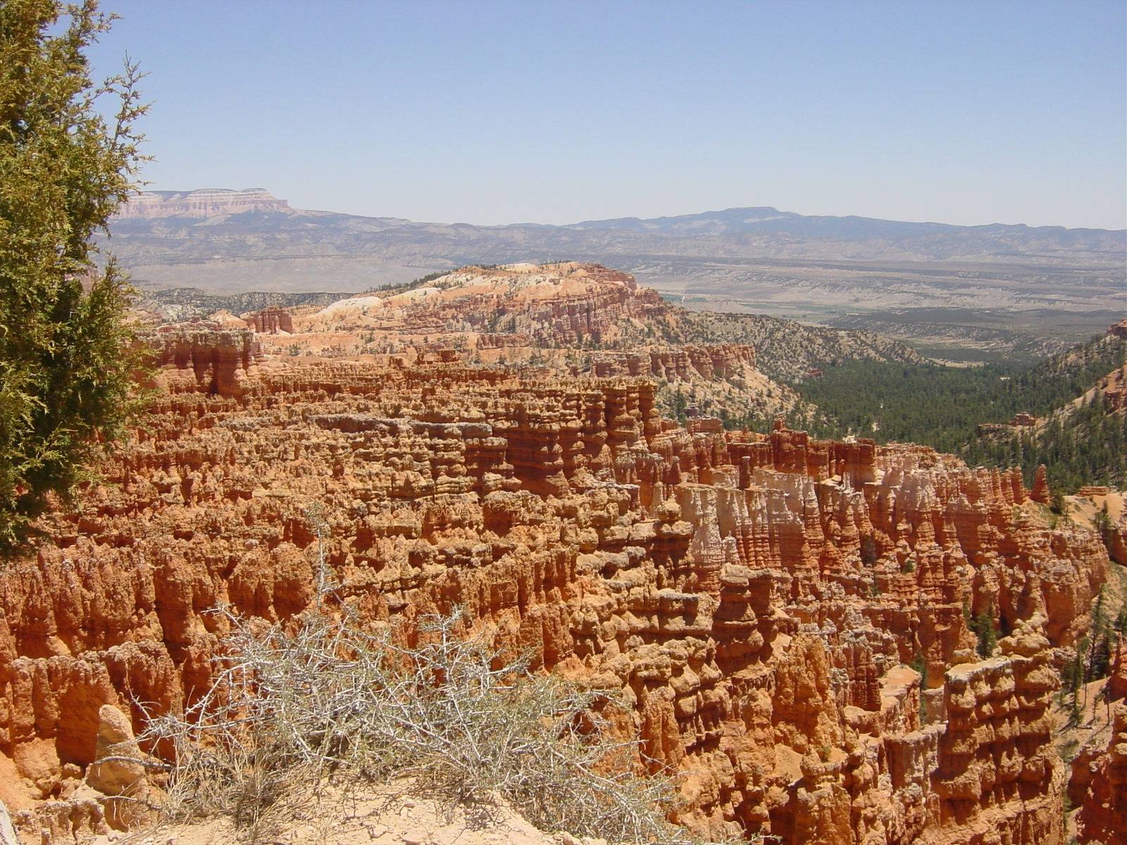 Bryce Canyon