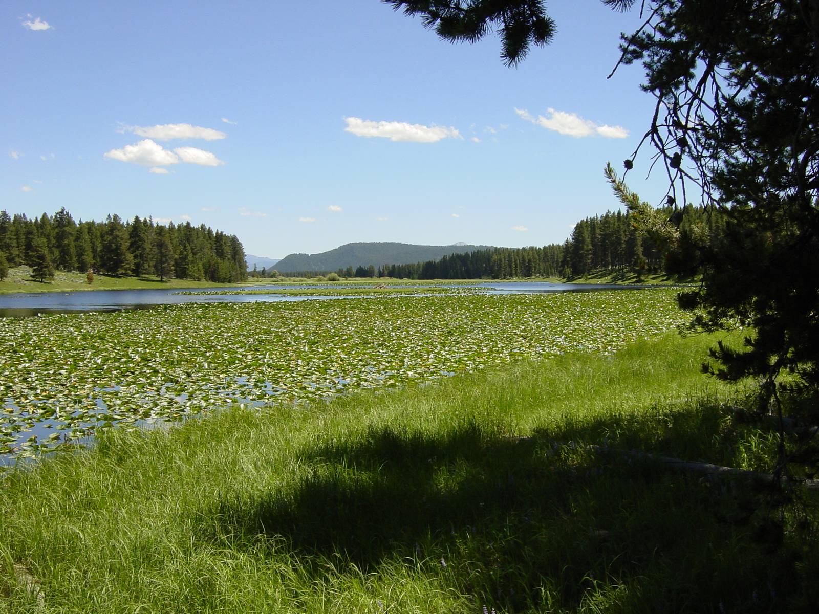 Grand-Teton-Nationalpark