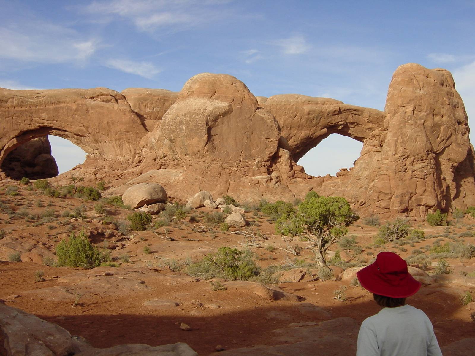 The Windows Section, Arches Nationalpark