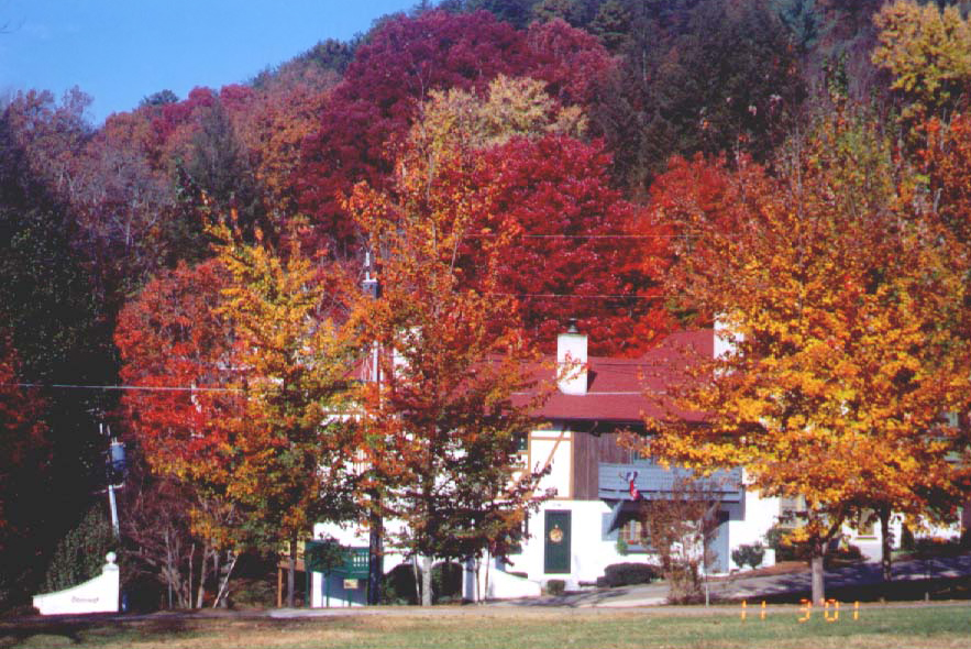 Herbstfärbung bei Helen