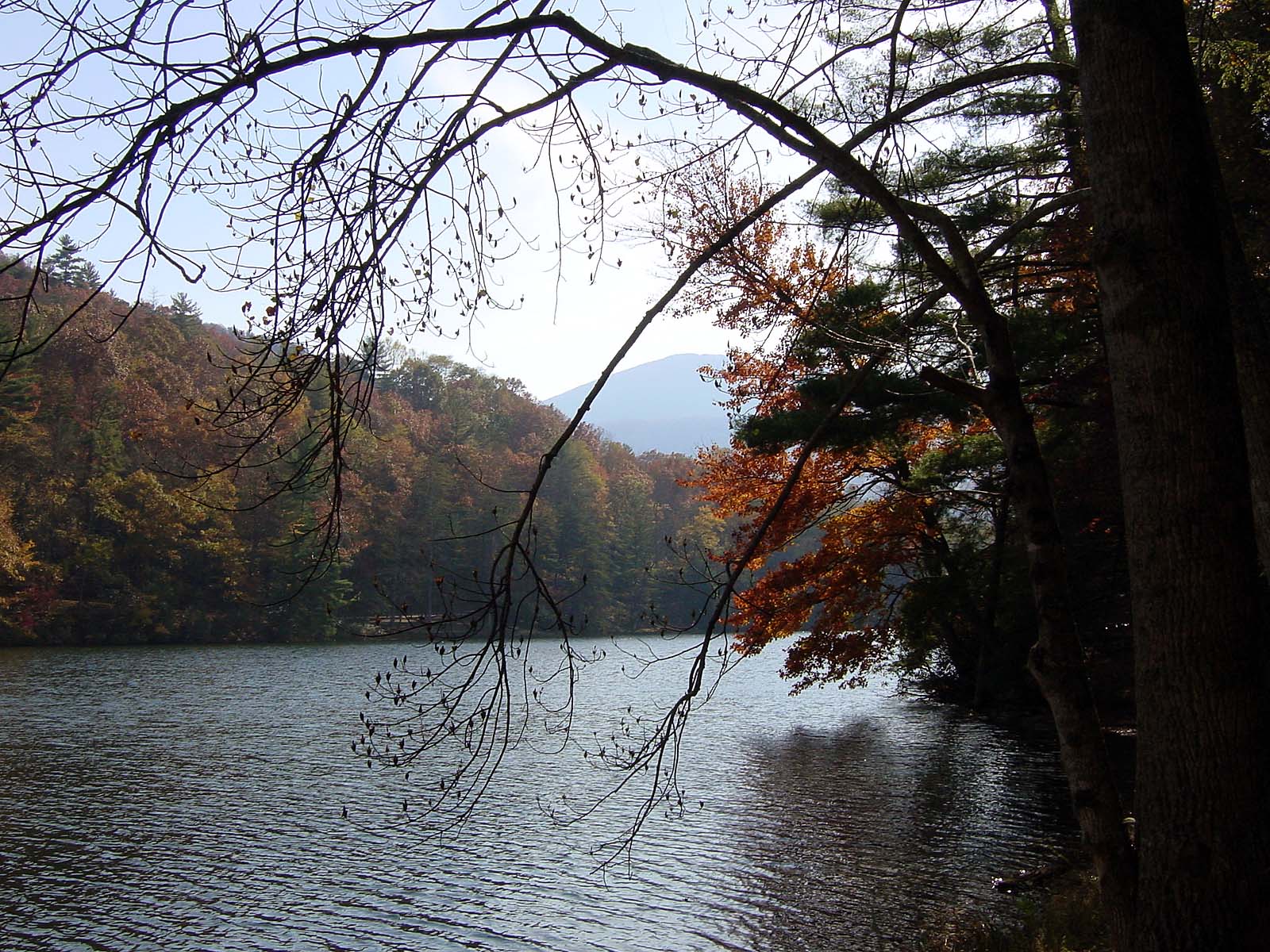 Lake Trahlyta