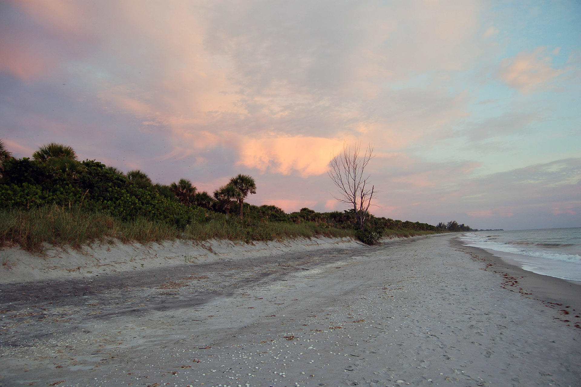 Caspersen Beach, Venice