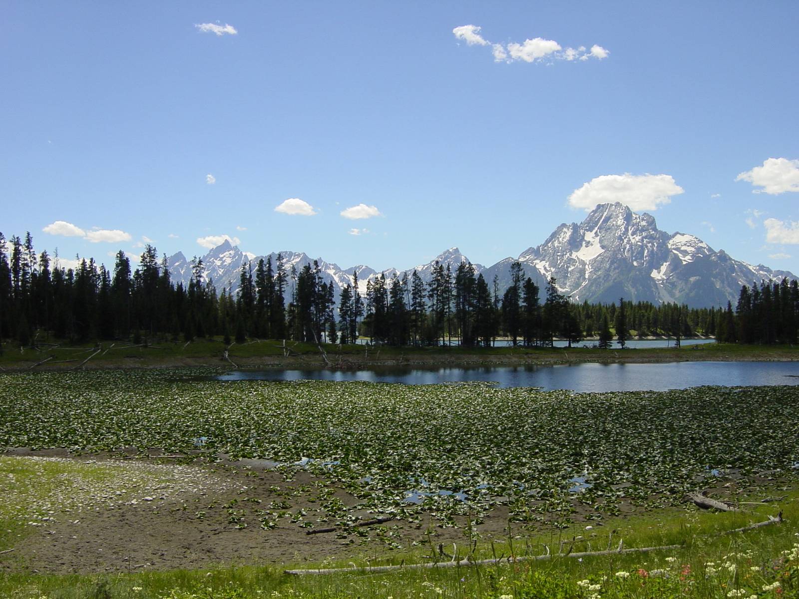 Swan Lake, Grand-Teton-Nationalpark