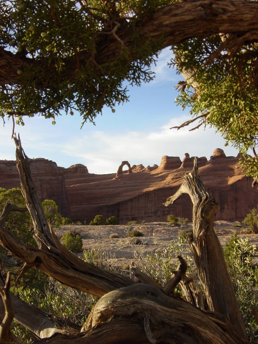 Delicate Arch, Arches Nationalpark