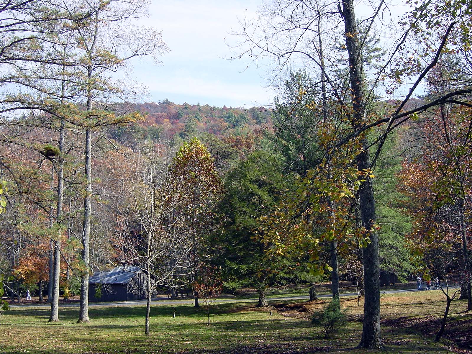 Cottages im Vogel State Park