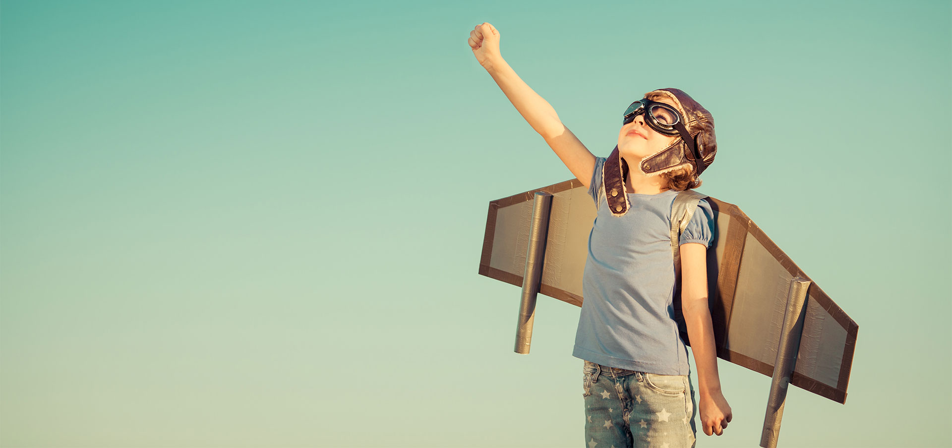 Bundesinstitut für Bildungsforschung, Innovation und Entwicklung des