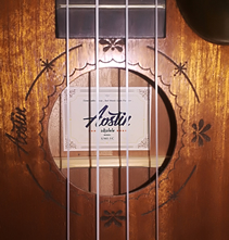 ウクレレ紹介　Aostin