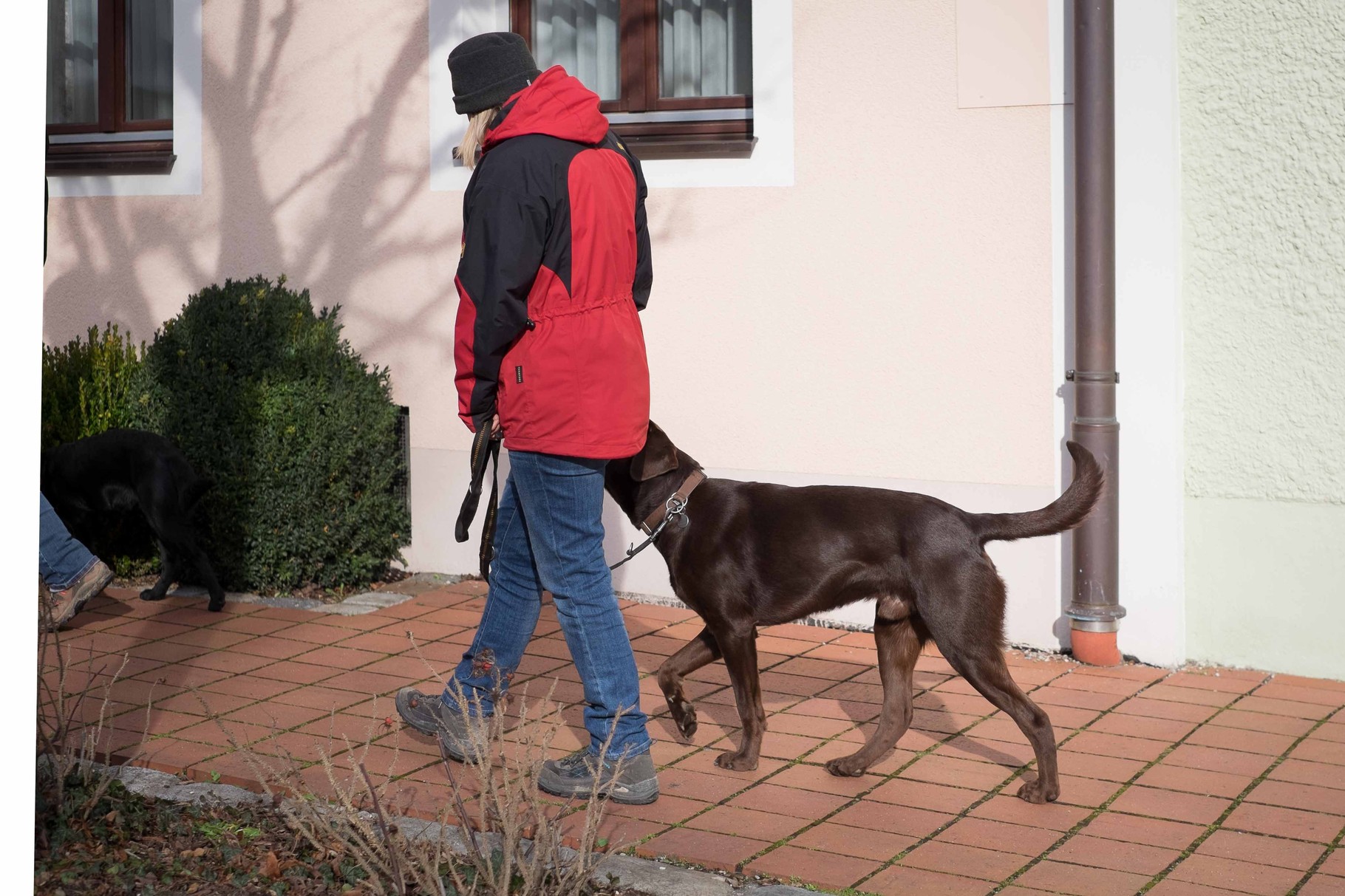 HUNDEFÜHRERSCHEIN in der Hundeschule Nassenfels Hundeschule Nassenfels Natalie Basche
