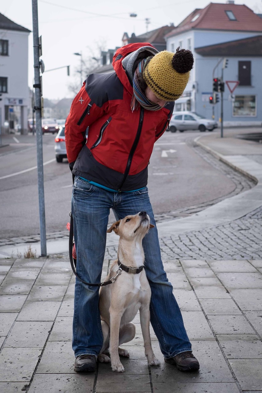 HUNDEFÜHRERSCHEIN in der Hundeschule Nassenfels Hundeschule Nassenfels Natalie Basche