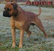 Zeus' grandsire