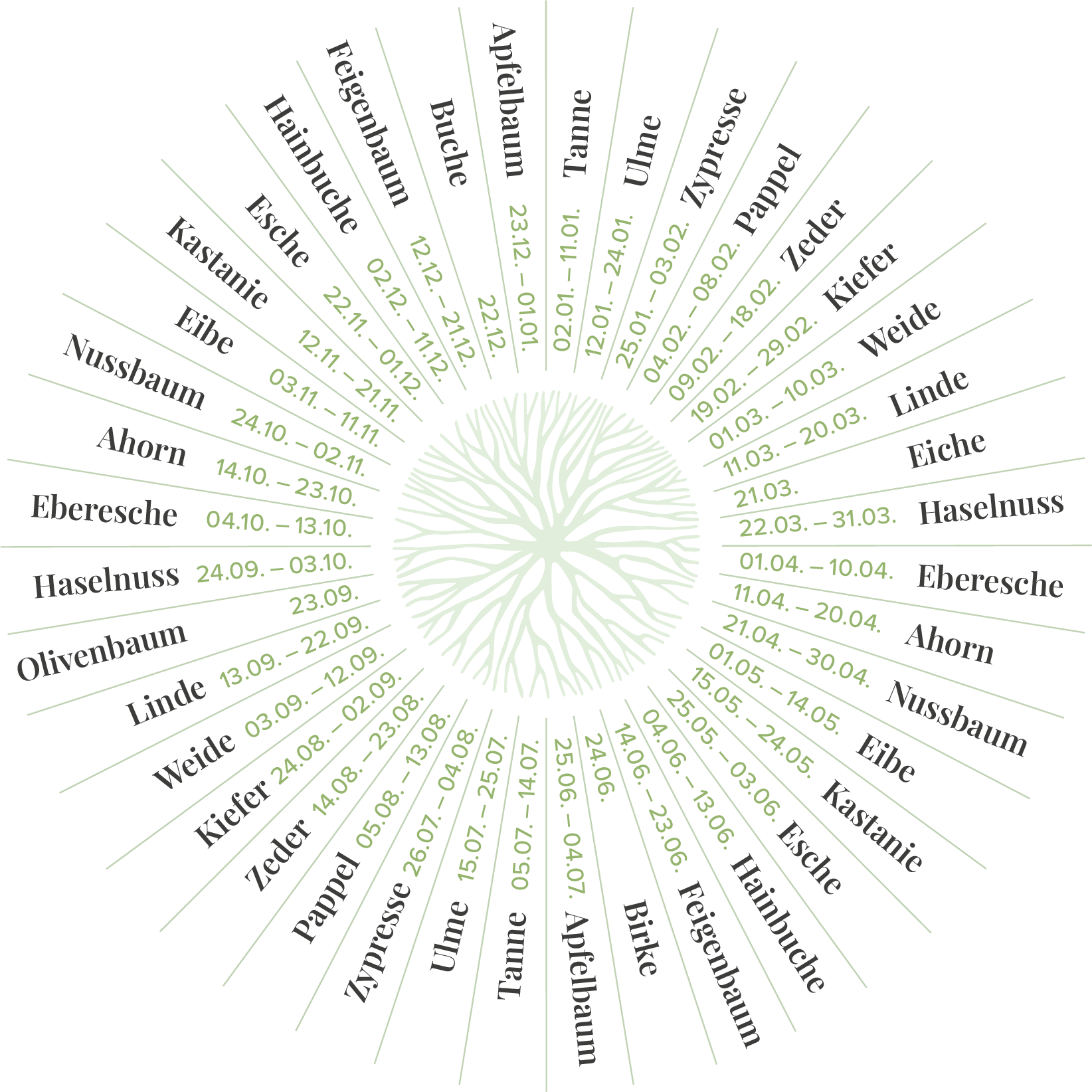 Baby Body Weihnachten Mit Spruch - Bio-Baumwolle 'Das Schönste Geschenk Unterm Baum'