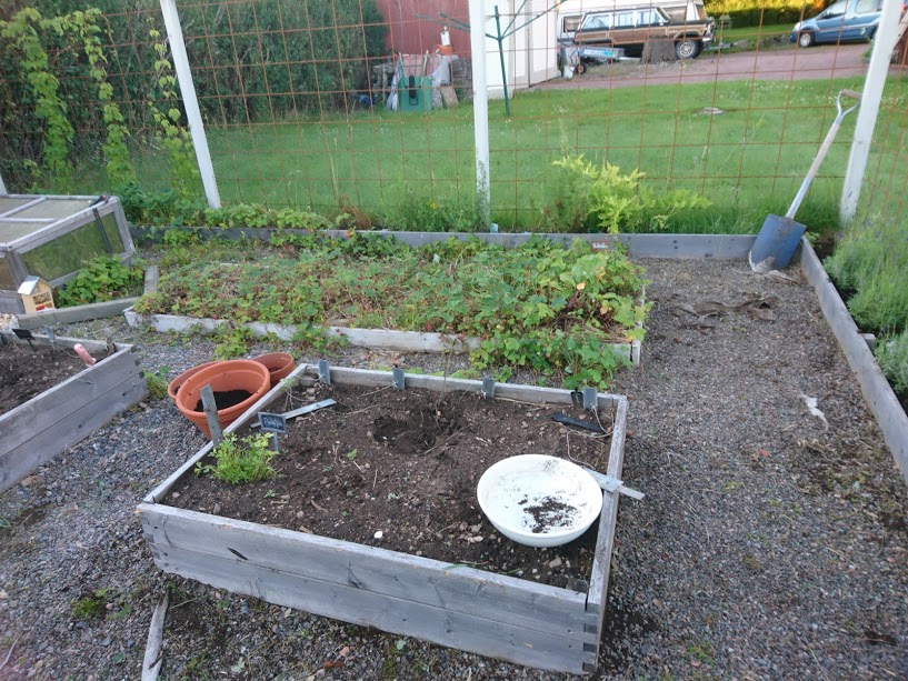 Sallad och sådd måste göras även när man har projekt