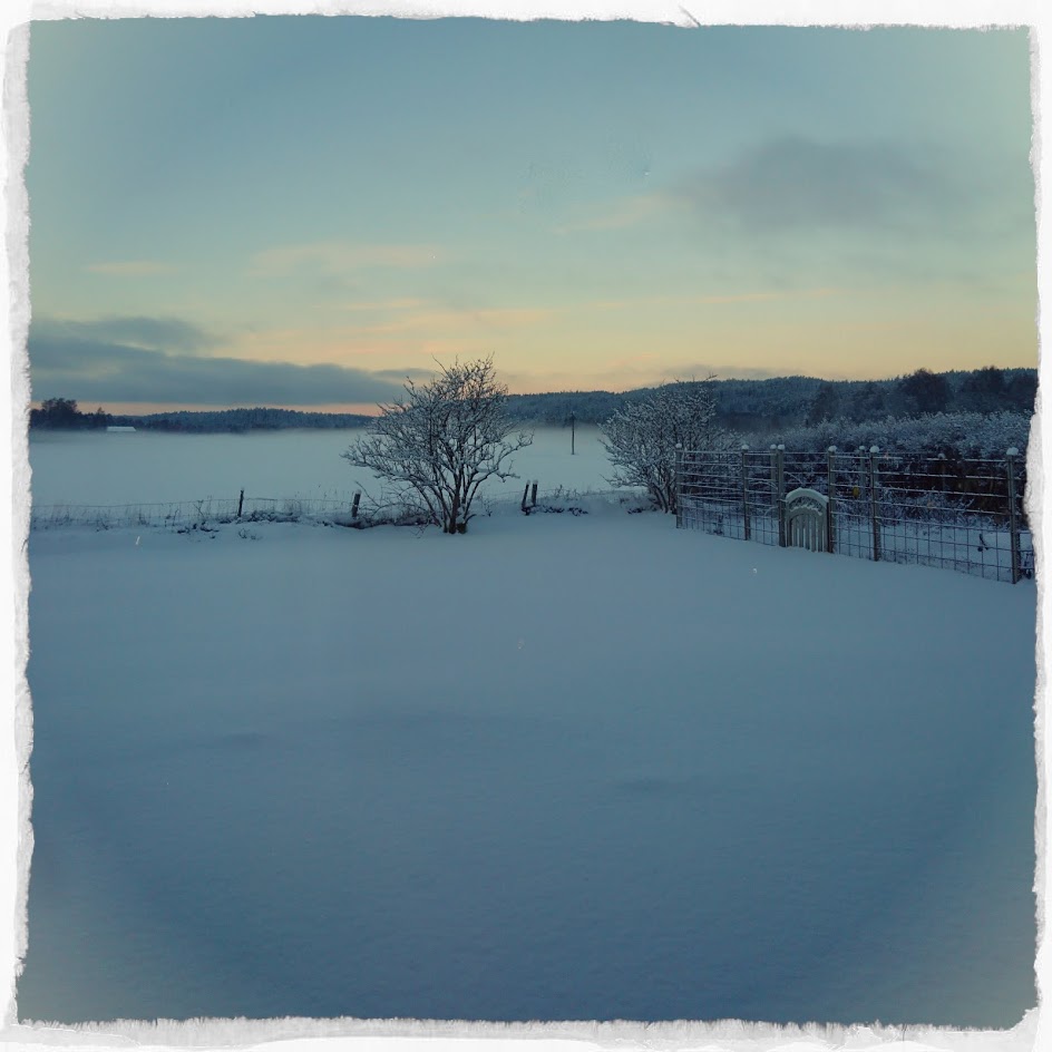 Vad mycket snö vi fick i januari!! Det var så vackert...