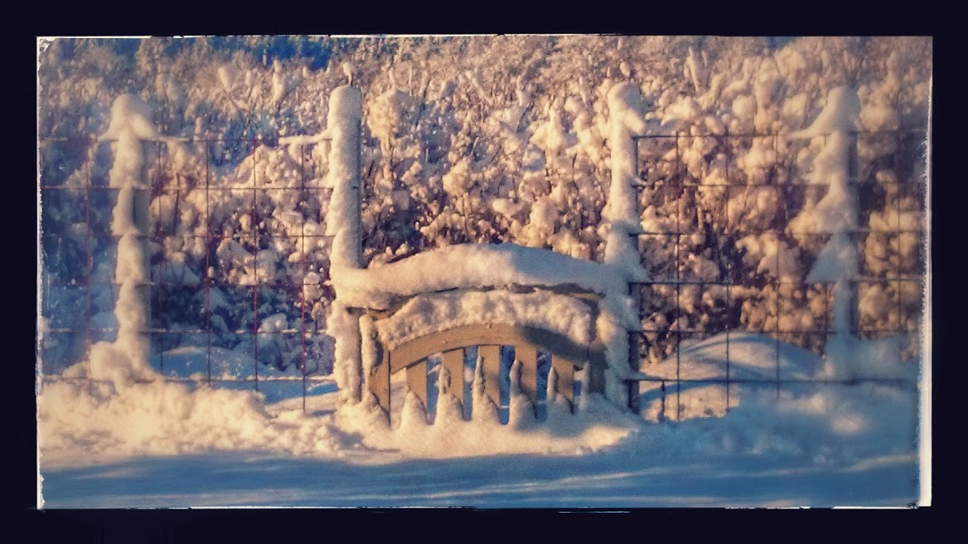 Köksträdgården i djup snö.. Sov gott, vi ses till våren!