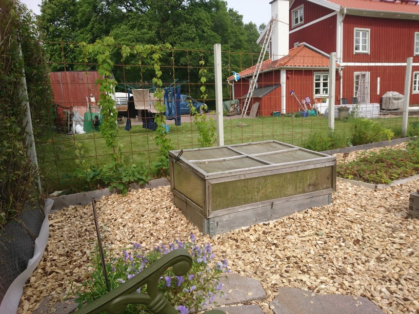 Färdigt mot Humlen och den lilla drivhuslådan (Tips köp inte färdiga drivhusbänkar -bygg själv!)