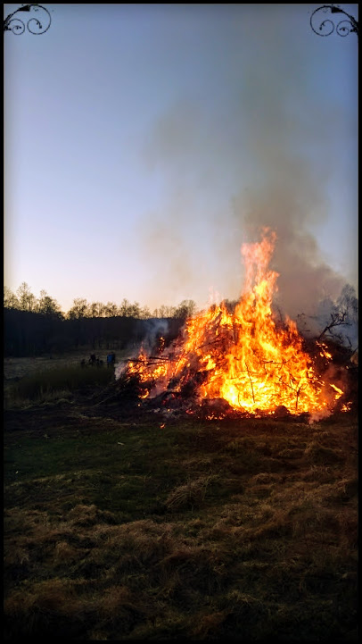 Brasan har brunnit ut... och vårblommorna har vågat sig upp trots kalla, frostnypna nätter.