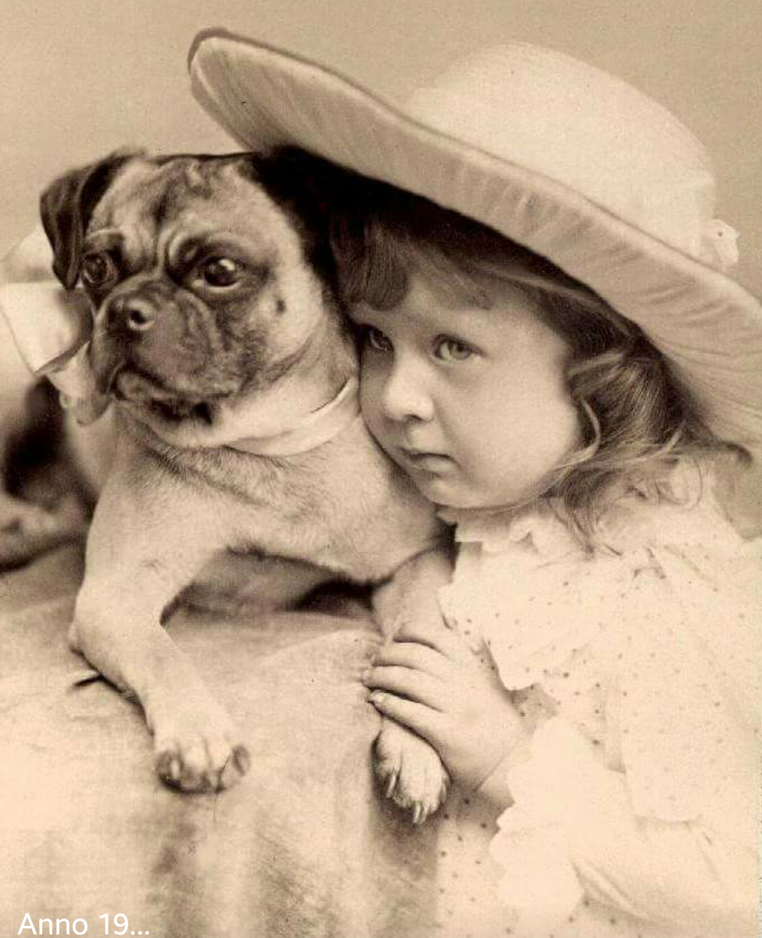 Historie mopsdeluxes seite!