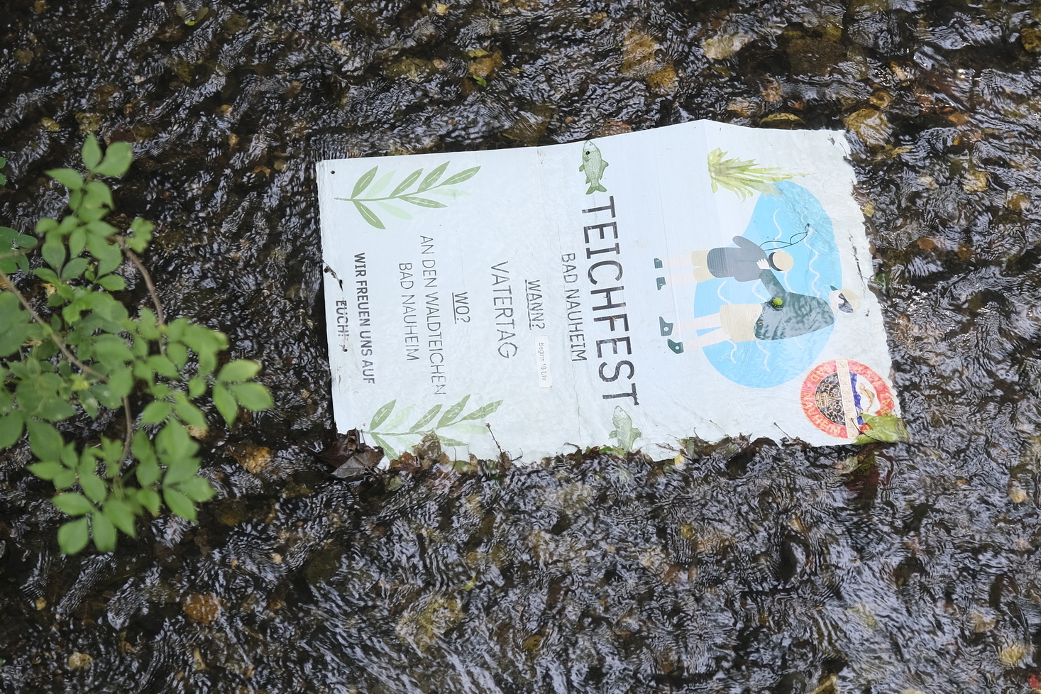 Ins Wasser gefallen