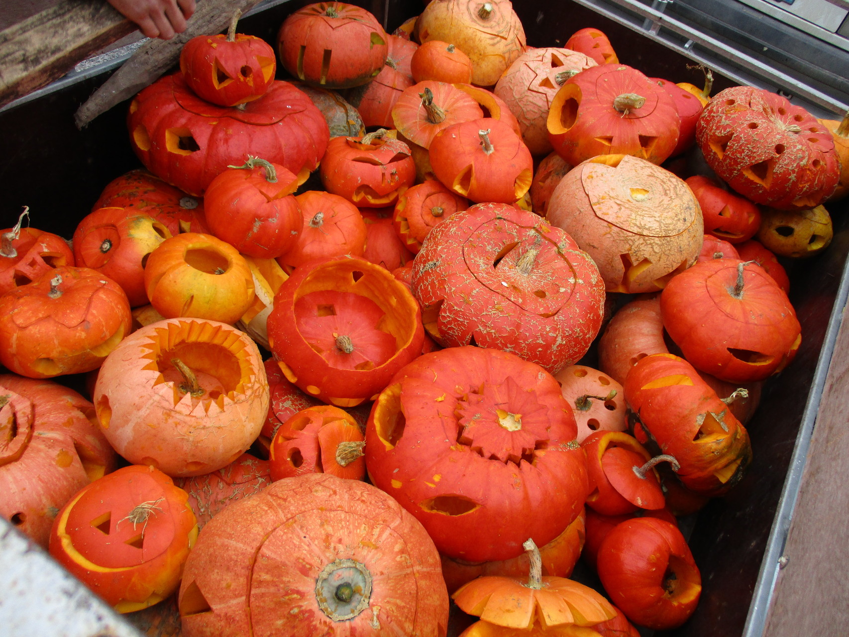 80 citrouilles ont été préparé