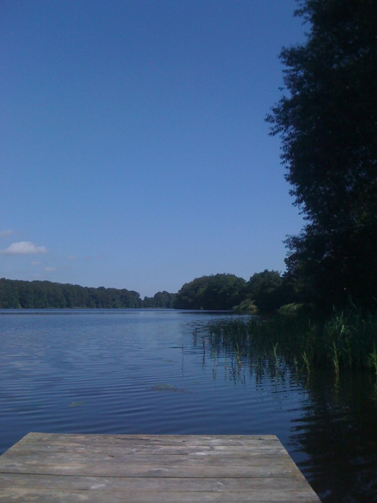 blick vom badesteg