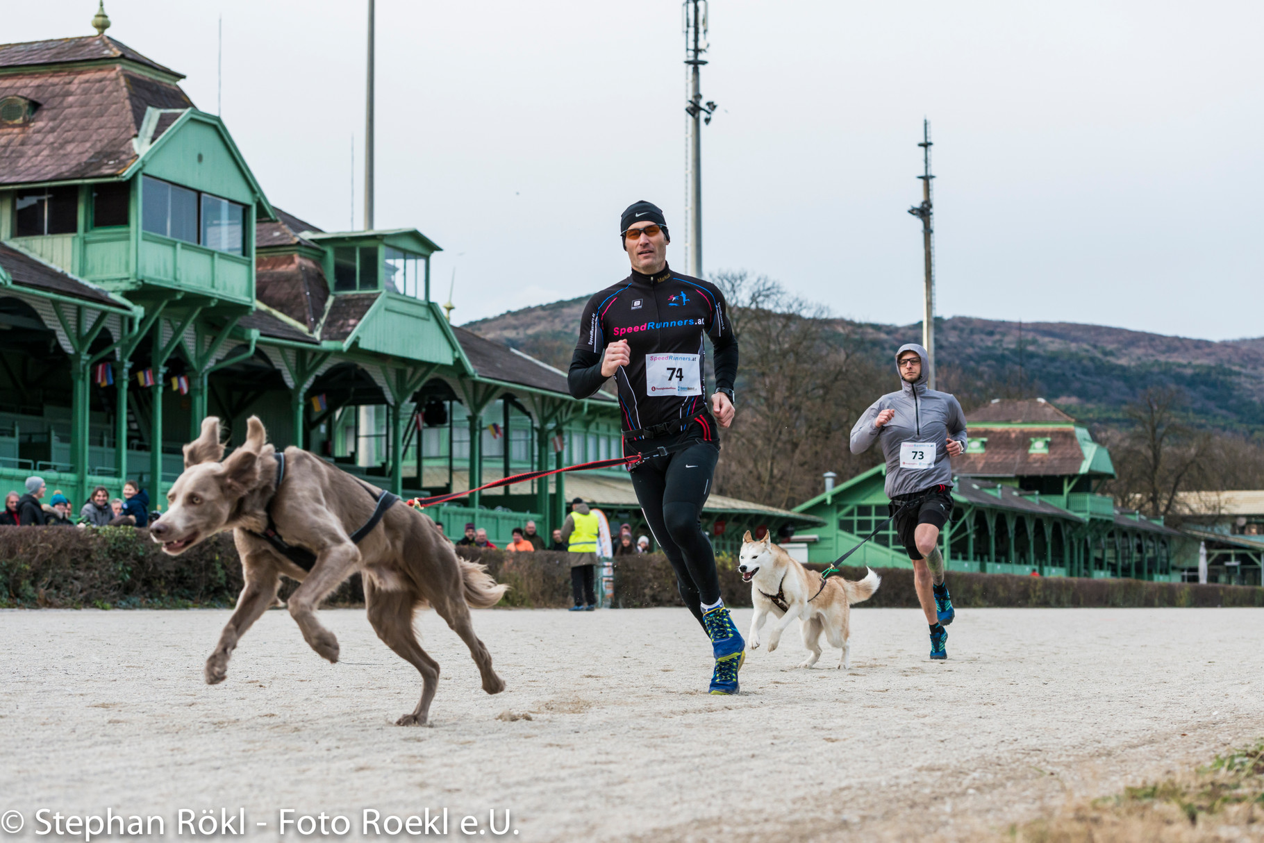 Canicrosser Markus Gerstl im Interview "Wenn der Hund beim Sport auf