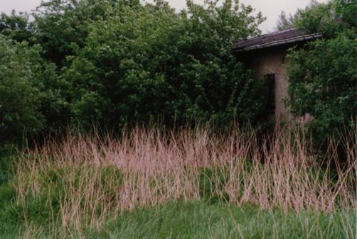 zukunftiges Schützenhaus (Mai 1998)