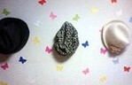 ボウシ