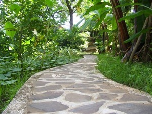 small paths in the park