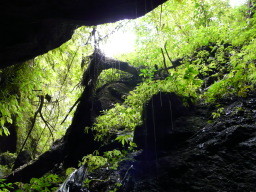 Blick aus der Höhle