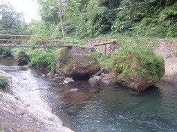 bamboo - bridge