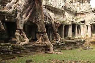 Amazing temples of Angkor