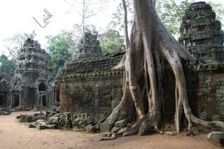 Amazing temples of Angkor