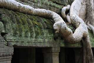 Amazing temples of Angkor