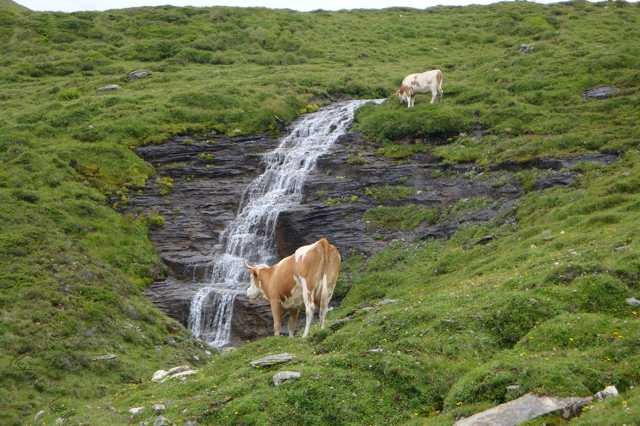 Somewhere in a valley in Rauris