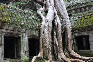 Amazing temples of Angkor