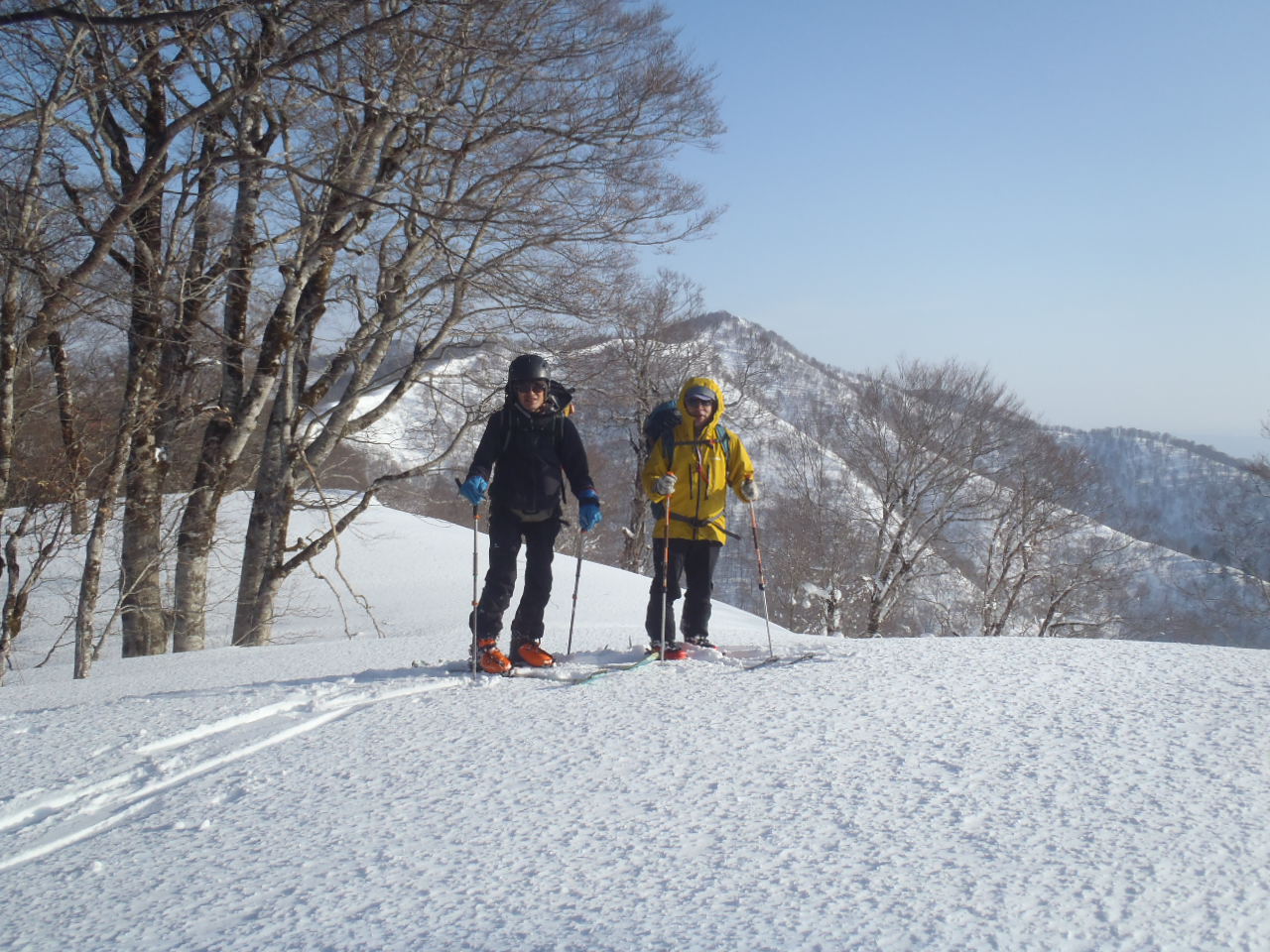 稜線より山毛欅沢山を望む