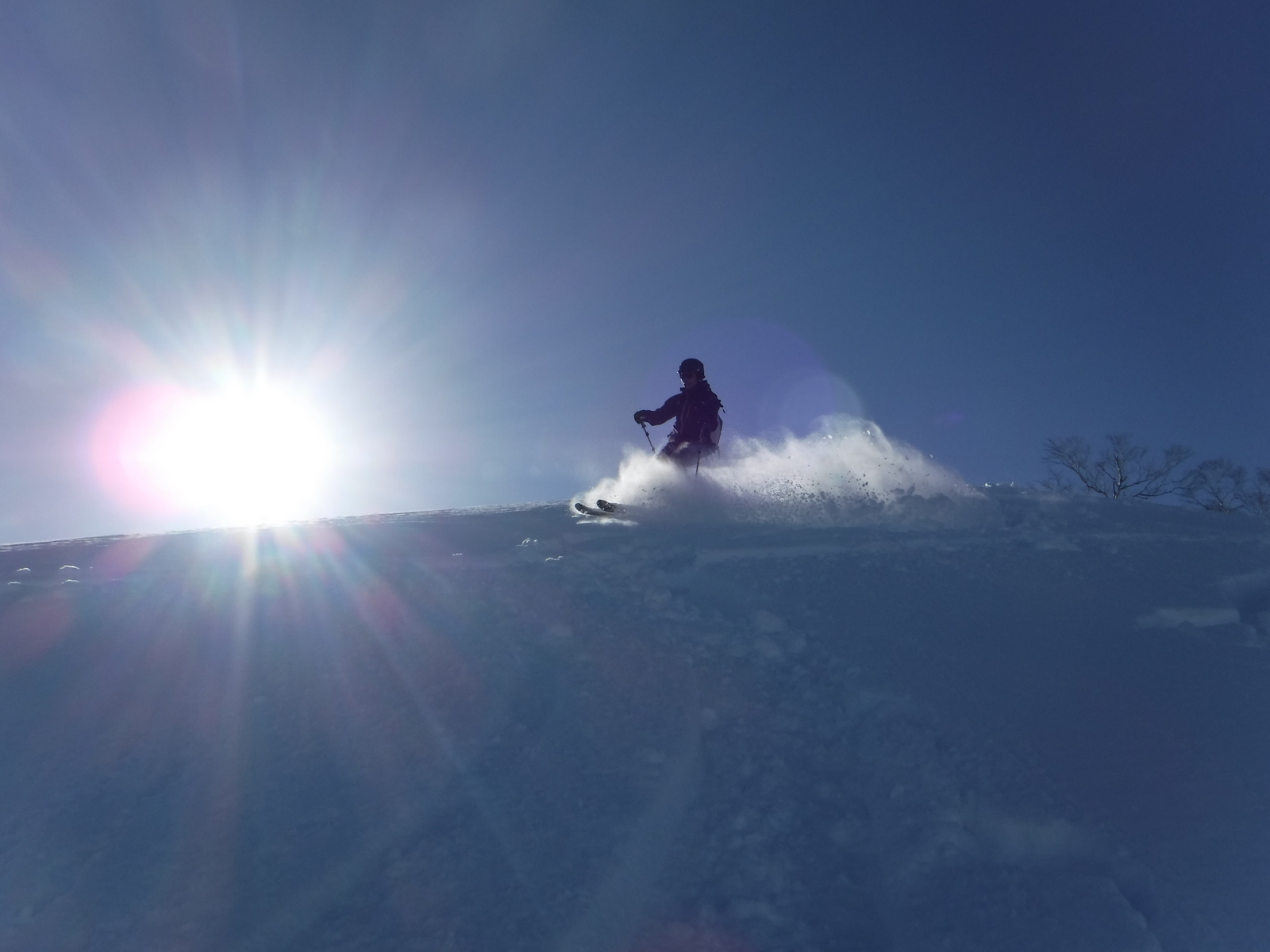 上部は素敵な新雪